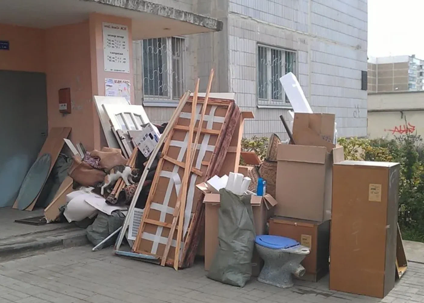 Профессиональный вывоз мусора из квартиры в Белой Калитве в октябре