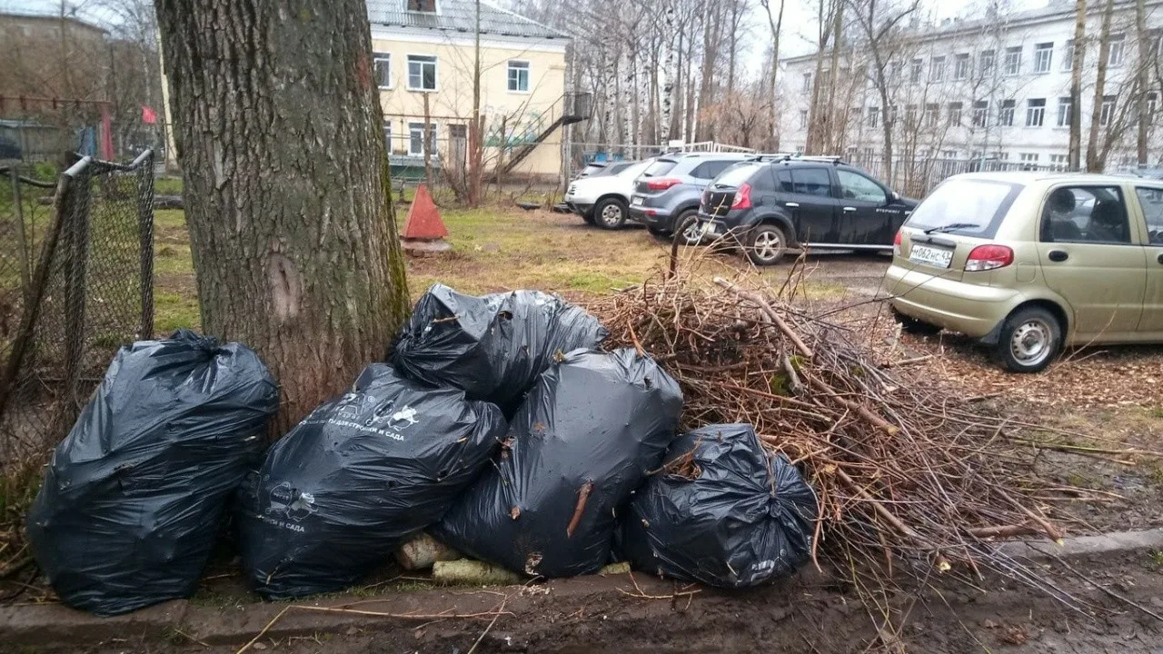 Вывоз мусора после субботника в Белой Калитве от ПроМусор – уборка и утилизация отходов от 2437 руб