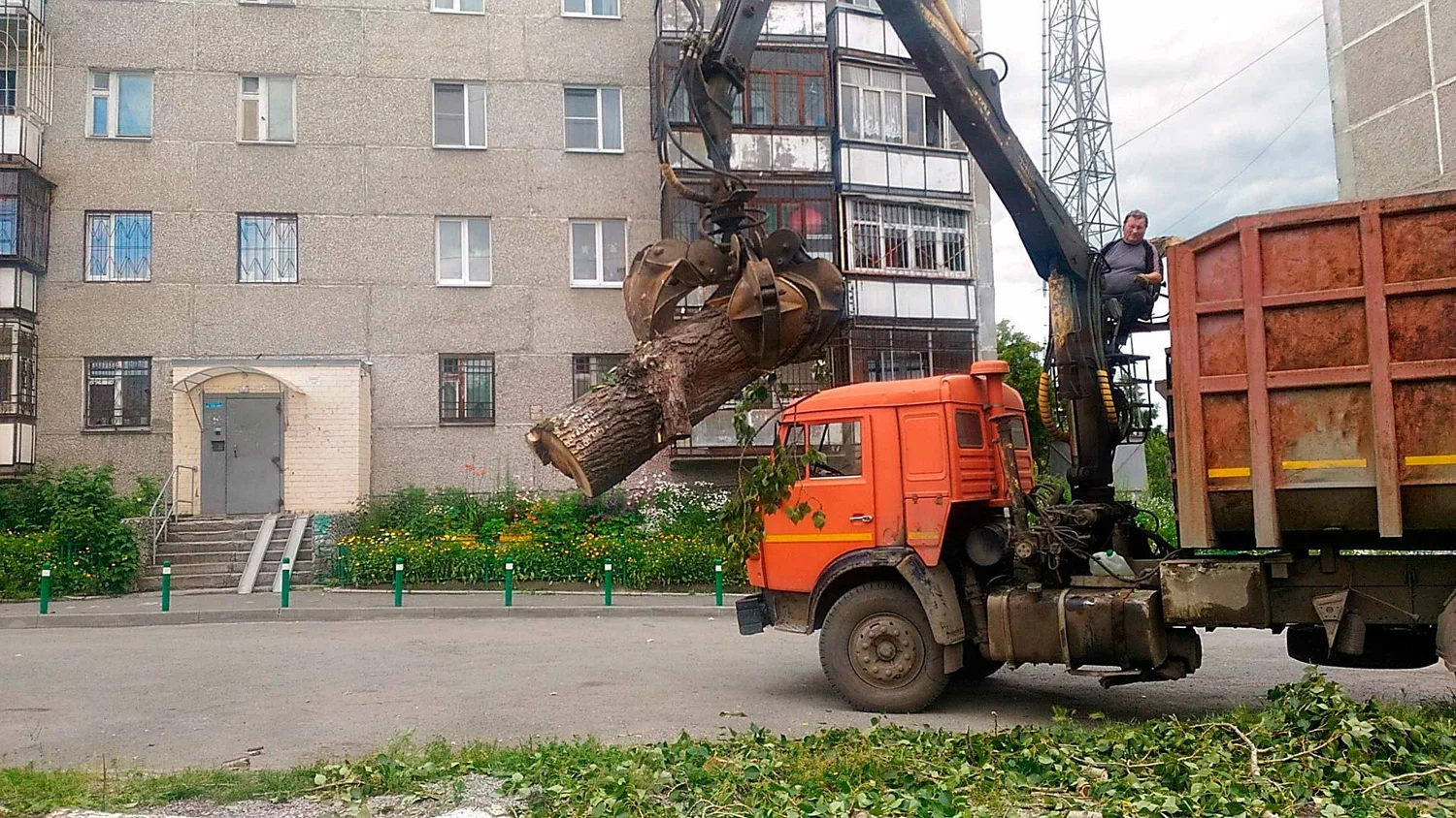 Вывоз спиленных веток и деревьев в Белой Калитве от ПроМусор: порубочные остатки, утилизация, цена от 3008 руб
