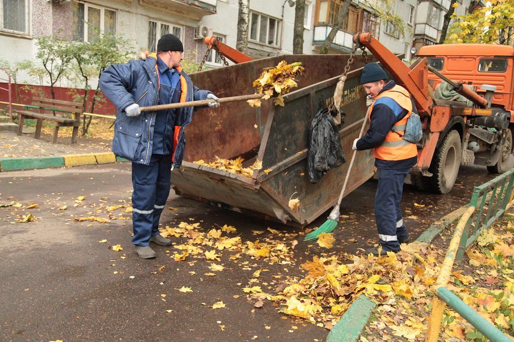 Вывоз опавшей листвы и растительного мусора в Белой Калитве от ПроМусор – цена от 4667 руб., быстрая уборка и утилизация